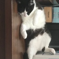 ひろき (@m0tw7ox1ud5yayb) 's Twitter Profile
