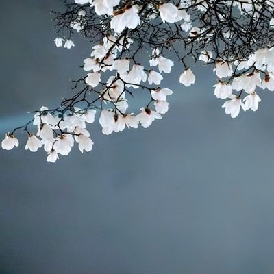 BL쓰는 시요. 가아끔 생존신고 합니다... 맞팔은 요청만 해주시면 가리지 않고 해요. 성인만 팔로 부탁드려요! 알림을 꺼놨으니 문의는 디엠이나 mustmint24@naver.com로 주세요.