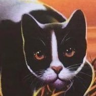 TallestofStars's profile picture. #wcparodytwt / He/Him 🏳️‍⚧️🏳️‍🌈 / Missing Jake every day.