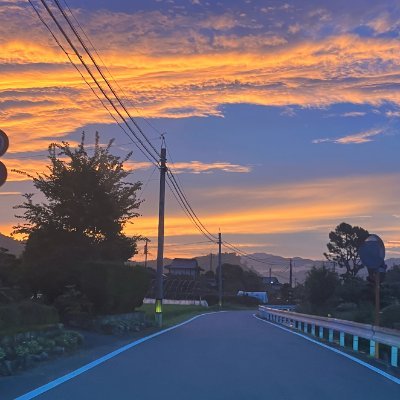 yyy029334's profile picture. 最近米株、ＥＴＦなどで資産運用しています。 趣味はトレイルランニングをしています。