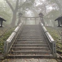 orca (@midorihonn) 's Twitter Profile