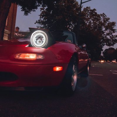 AdeleFrenc93163's profile picture. 