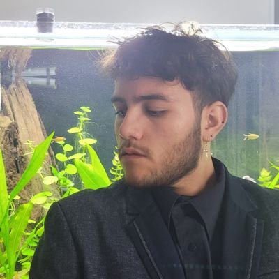 born alone, lives alone, dies alone