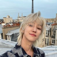 vi 💎💙 (@userfor_svt526) 's Twitter Profile