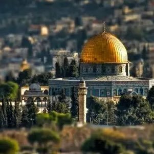 SoccerAlgo's profile picture. 日本とアメリカに長く住んでいたアラブ人です。 現在は、主にパレスチナ問題に関して情報を共有し、この重要な話題についての意識を高めるために呟いています。 💙⚽️ | مترجم 🇯🇵 | 翻訳