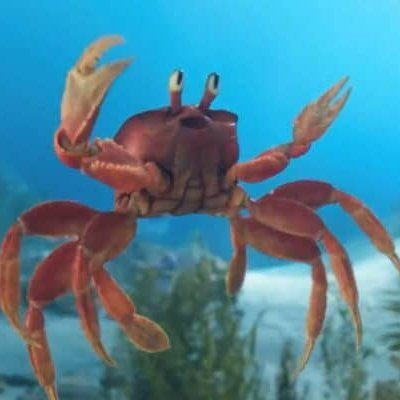 ItsJagzTTV's profile picture. Catch me streaming almost every day on https://t.co/Yp3YEsaGTD