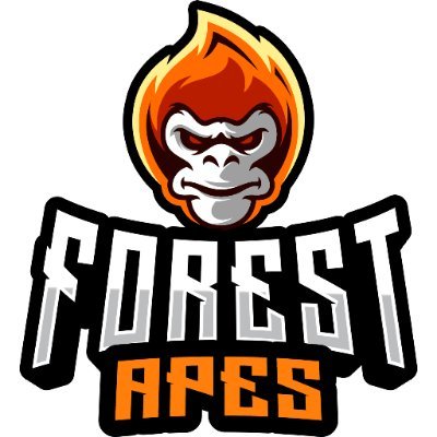 Welcome To The Forest 🌳
The Official X Account Of Forest Apes
Unleashing The Power Of APES in BGMI 🦧