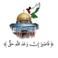 Mohamed Housny (@a6cyzmox9gt22ub) 's Twitter Profile Photo