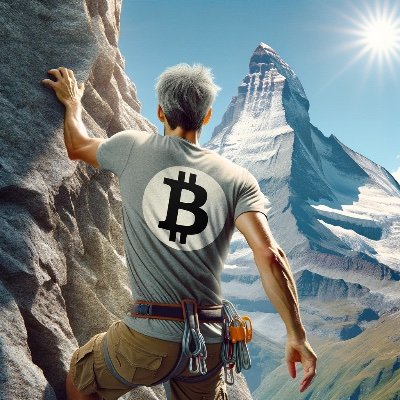 bitcoin and mountain maxi, Elliott wave and TA lover. Say no to shitcoins.