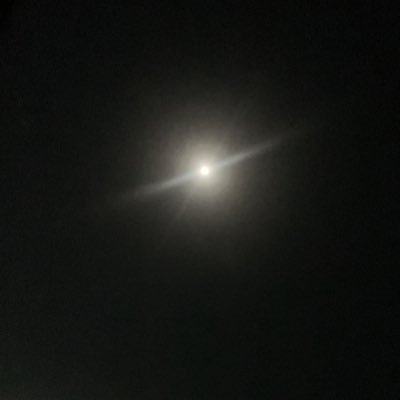 Good87347914's profile picture. 