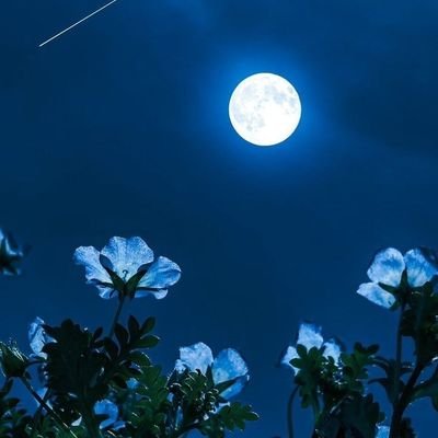 lyza6101's profile picture. 