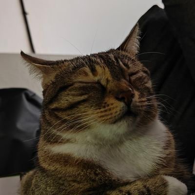 123prola's profile picture. AI enthusiast
