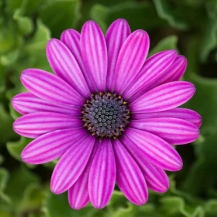 gayatridasverma's profile picture. I am within me....