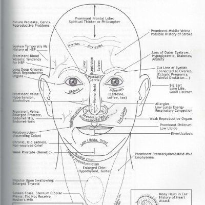 Boss_CHL's profile picture. Cosmopolita, libre pensador, procuro limpiar 🌎 y entregarlo +limpio, busco desprenderme de ideologías (cuesta)! Volví del Inframundo, el Éter es... Éter!!!