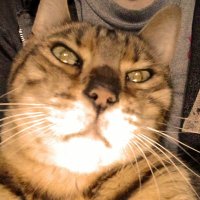 challz1970 (@challz1970) 's Twitter Profile