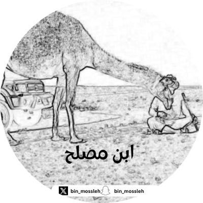 bin_mossleh Profile Picture