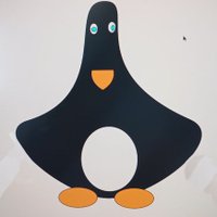 ZBCallum (@zbcallum) 's Twitter Profile