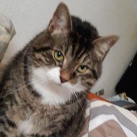 wilde13 🌈 (@andrea83936196) 's Twitter Profile Photo