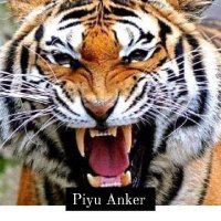 🇮🇩🇯🇴Piyu anker🇯🇴🇮🇩 (@piyuanker12) 's Twitter Profile