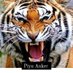 🇮🇩🇯🇴Piyu anker🇯🇴🇮🇩 (@piyuanker12) Twitter profile photo 🇮🇩🇯🇴Piyu anker🇯🇴🇮🇩 (@piyuanker12) Twitter profile photo