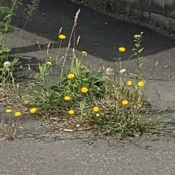 O85hEeXKWp81137's profile picture. 