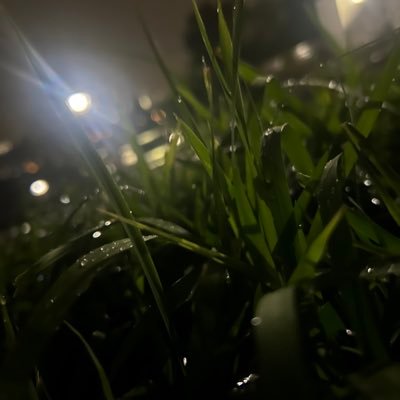 GeRJbeFQdl7bXE6's profile picture. 