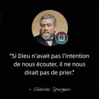 Mentalfort (@feelingflm) 's Twitter Profile