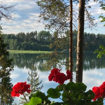 I live in Finland with my husband. Eläkkeellä hoitotyöstä, jota sain Suomen lisäksi tehdä niin Afrikassa kuin Aasiassa. Retired nurse worked in Africa & Asia.