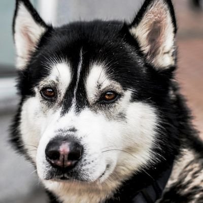 Kirui68548055's profile picture. Headquarters