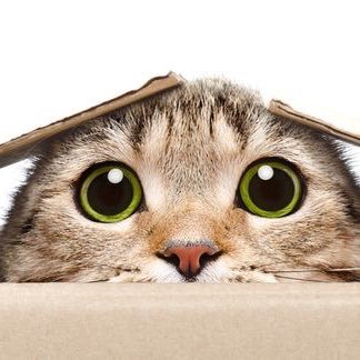 br8MzNZGIO11519's profile picture. 