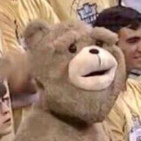 mattisbear (@mattisbear) 's Twitter Profile