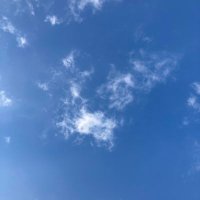 π―π΅γ«γγγγγγ (@rrtsmfquu4x700d) 's Twitter Profile