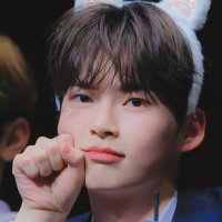 chocoBin 🍪(@chocobin01) 's Twitter Profile Photo