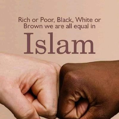 yarima877's profile picture. Al islam 'alaa manhajis salafis saalih