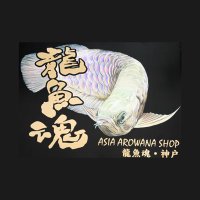 龍魚魂神戸 (@ouki_kojirou) Twitter profile photo
