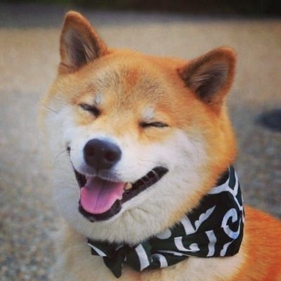 devilshow0630's profile picture. 