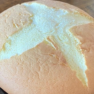 お取引専用/20↑/本垢提示可/同種間での過剰なレート考慮される方苦手です/初期傷ある場合必ず初めにご提示ください/共同購入はほとんどの場合代行様経由ですので長期のお取引ご理解の上ご参加お願いします/お断り♡で失礼します