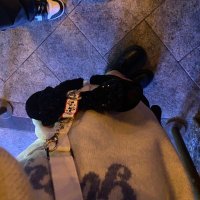 ひまり (@hm_lz3o) 's Twitter Profile