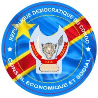 Conseil Economique et Social/ CES-RDC 🇨🇩(@ConseilEco_RDC) 's Twitter Profile Photo