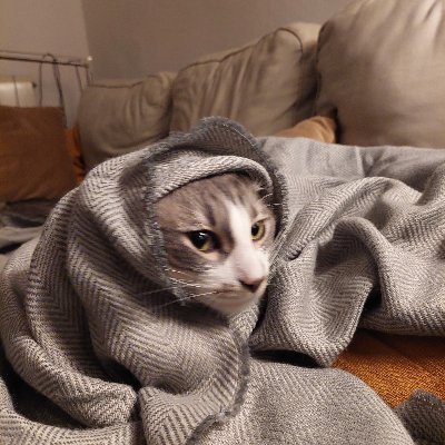 vianusa_opina's profile picture. 