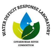 LabCovarrubiasReyes (@labcovreyes) 's Twitter Profile Photo LabCovarrubiasReyes (@labcovreyes) 's Twitter Profile Photo