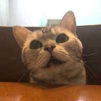 へびめも (@hebimemo) 's Twitter Profile