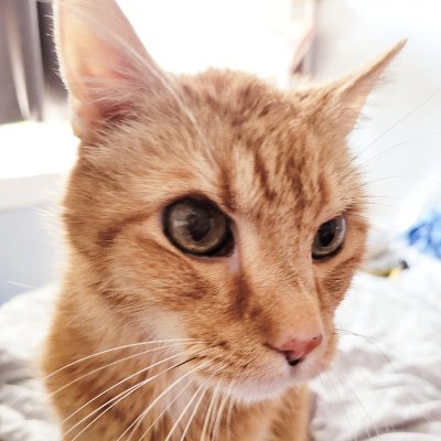 18 yeares old babby., Mômbie is lovf of mine life . Sistor (doug type} nameof Edie. TERFs and racists not welcome. #EpicNelkMoment #PamCorp