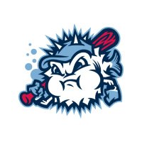 Blowfish Baseball(@GoBlowfish) 's Twitter Profile Photo