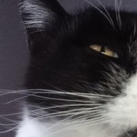 Qué picardía (@mondongaargenta) 's Twitter Profile Photo Qué picardía (@mondongaargenta) 's Twitter Profile Photo