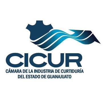 CÁMARA DE LA INDUSTRIA DE CURTIDURÍA DEL ESTADO DE GUANAJUATO