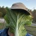 Daniel Bachman (@almanacbehind) Twitter profile photo Daniel Bachman (@almanacbehind) Twitter profile photo