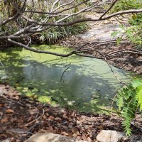 Limnology & Drylands INLD (@inld_limnology) 's Twitter Profile Photo Limnology & Drylands INLD (@inld_limnology) 's Twitter Profile Photo