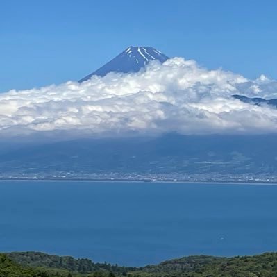 トレカ好き 元々懸賞アカ(多分) 今もプレゼント貰って嬉しいです。 ただトレカ界隈いい人多いし、カードの魅力が凄いからまたカード集めよかなって思ってます。浄化された気分  某感染症とその後遺症で数ヶ月沈んでました