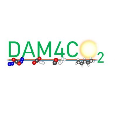 DAM4CO2 Profile